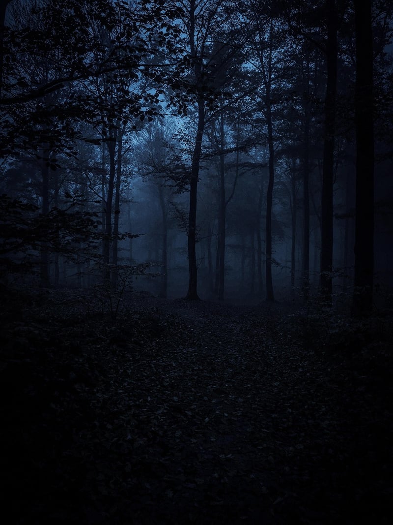 Experience the Unknown